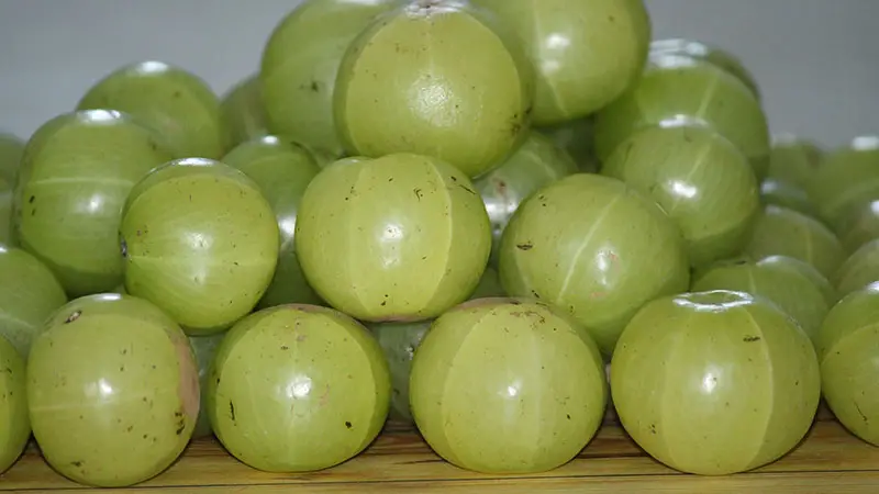 Health Benefits of Amla