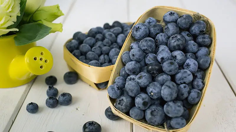 health benefits of blueberries