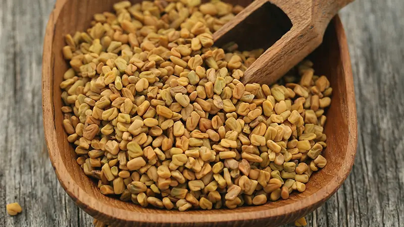 Health Benefits of Fenugreek