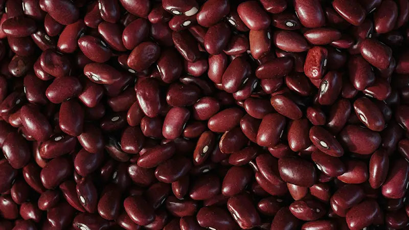 health benefits of kidney beans