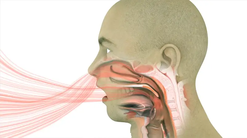 Get Rid of a Blood Taste in Your Mouth