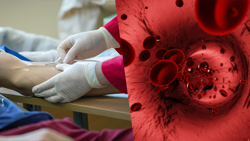 Connection Between Veins and Blood Flow