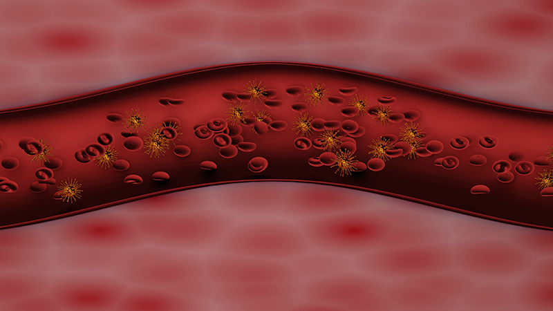 Irregular Blood Circulation in Veins