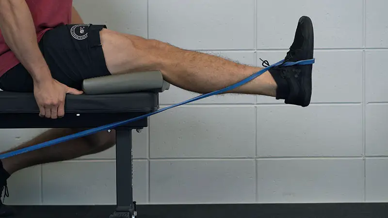 Banded Leg Extension