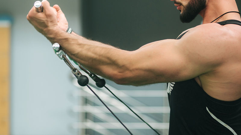 Bungee Bicep Curls