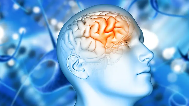 Enhanced Cognitive Function