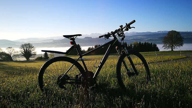 Hybrid Bikes