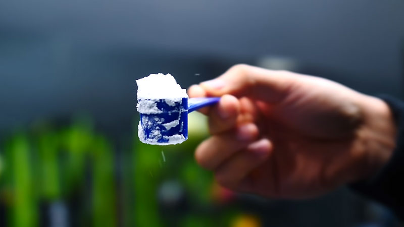 Investigating the Interaction Between Creatine and Marijuana