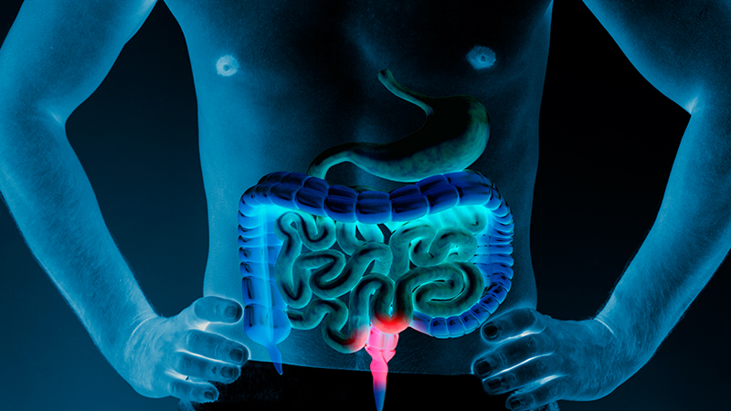 Managing Digestive Issues When Taking Creatine