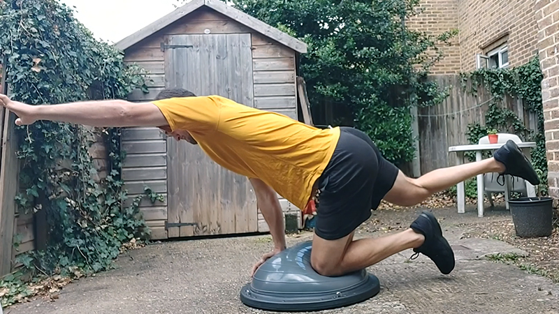 Bosu Ball Bird Dog