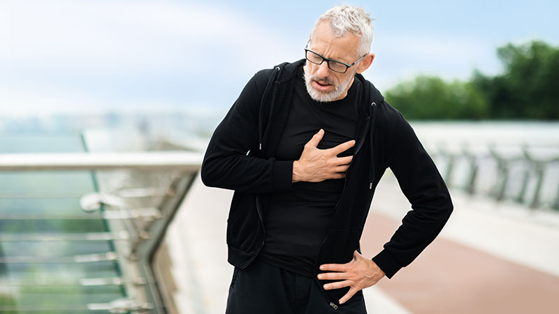 Enhances Cardiovascular Health