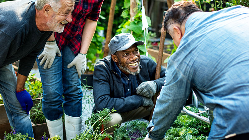 Group Gardening for Strength and Dexterity