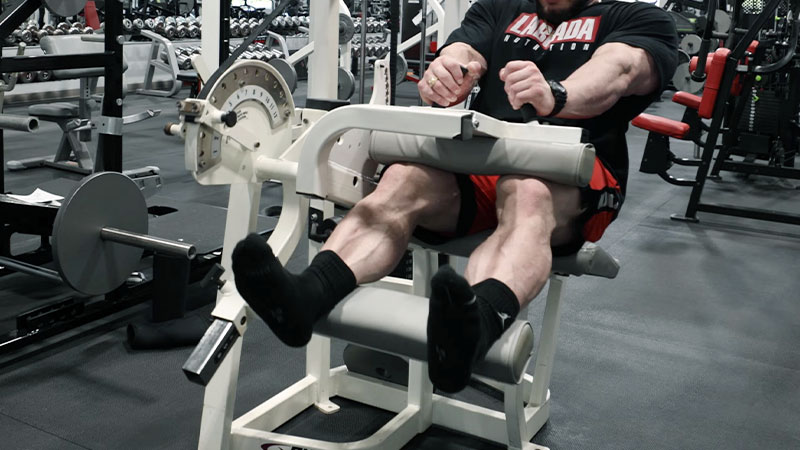 Seated Hamstring Curls