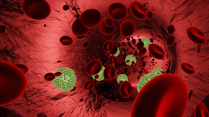 Aids in Energy Production