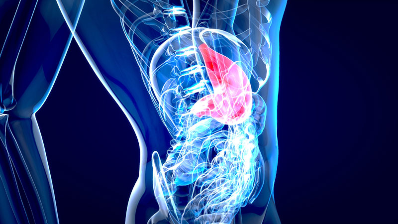 Artificial Pancreas