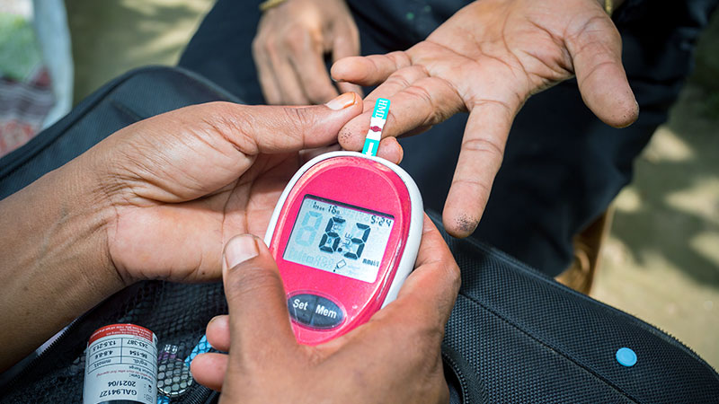 Blood Sugar Regulation