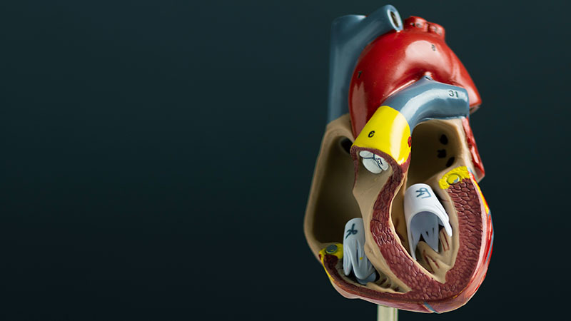 Cardiac Catheterization and Angiogram