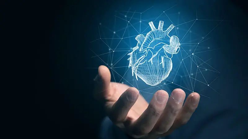 Cardiovascular Health