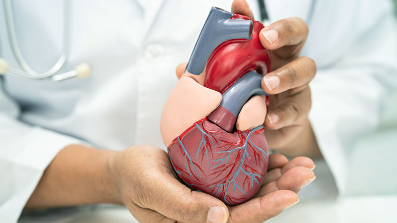 Cardiovascular Health