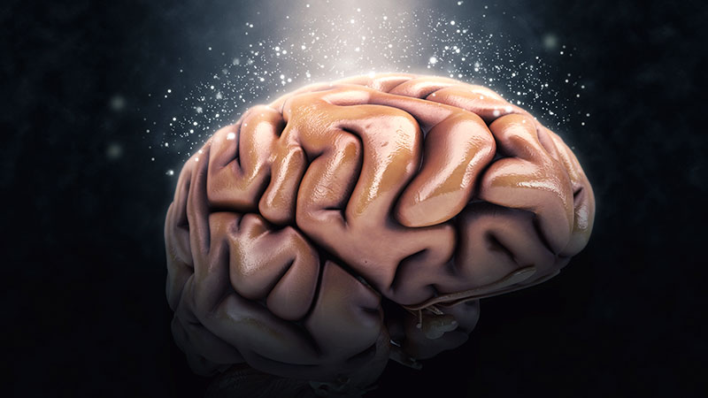 Cognitive Function