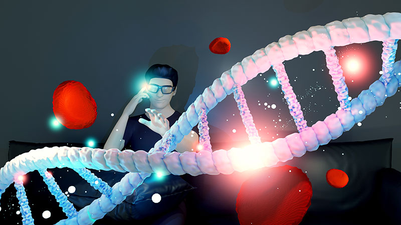 DNA Synthesis and Cell Division
