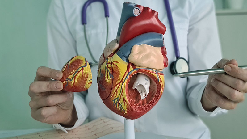 Diagnosis of Heart Disease