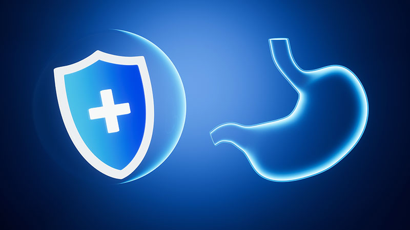 Digestive Health Promotion