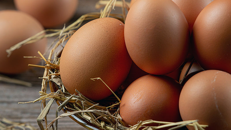 Eggs