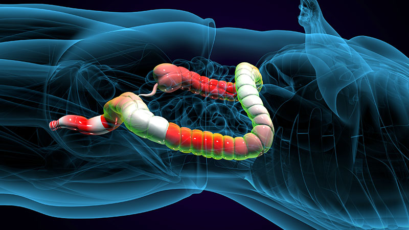 Enhanced Gut Barrier Function