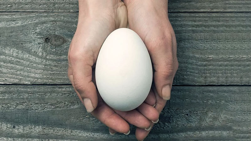 Goose Eggs