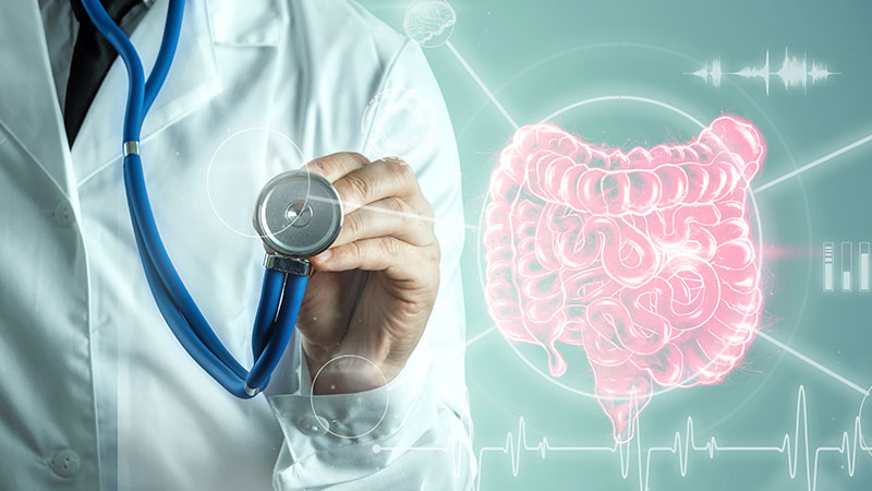 Gut Health and Microbiome Diversity