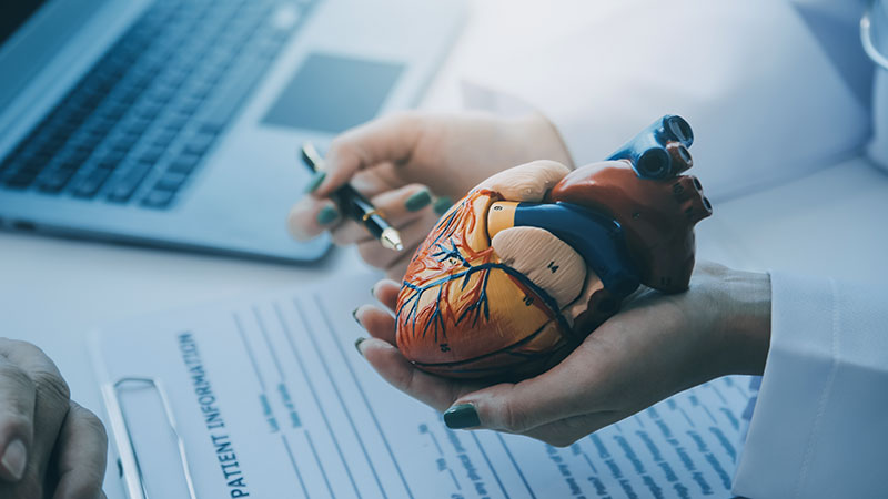 Heart Disease Basics