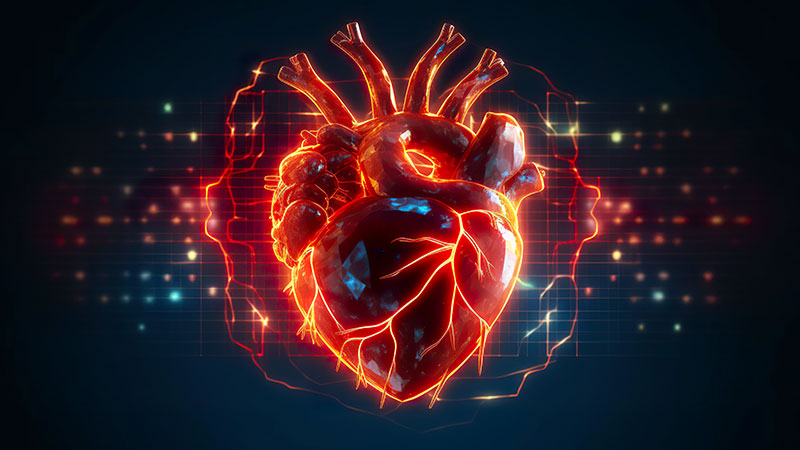 Heart Health