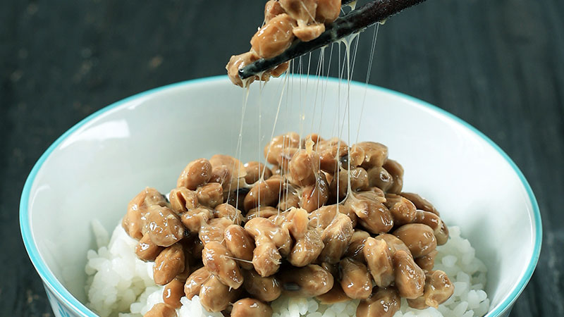 High in Probiotics