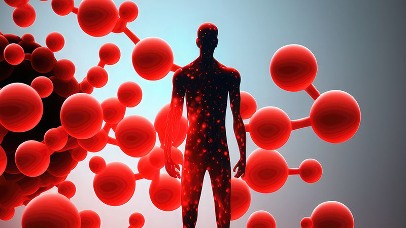 Immune System Support