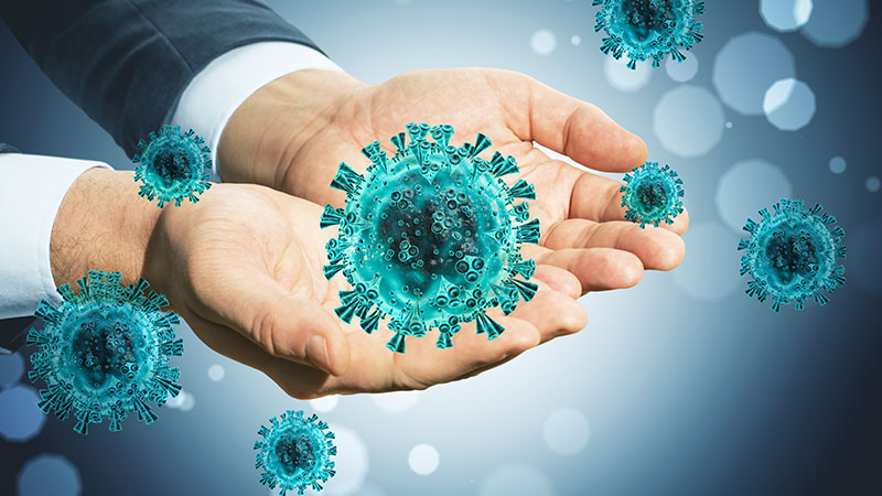 Immune System Support