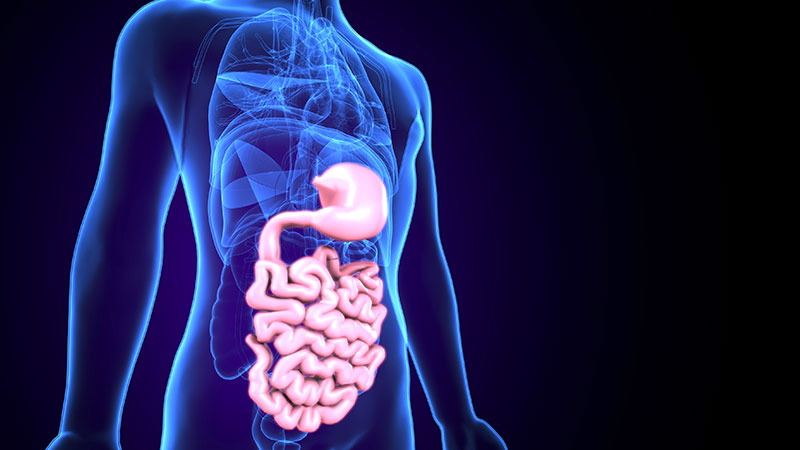 Improves Digestive Health