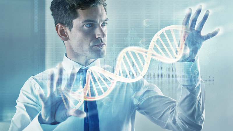 Influence on Gene Expression
