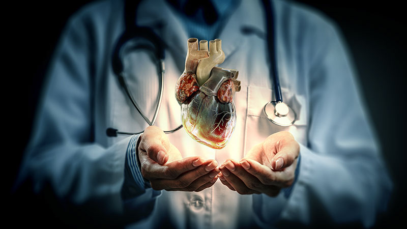 Innovations in Cardiovascular Medicine