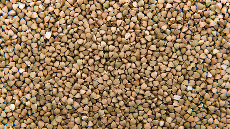 Nutrition Profile of Buckwheat