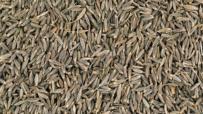 Nutrition Profile of Cumin