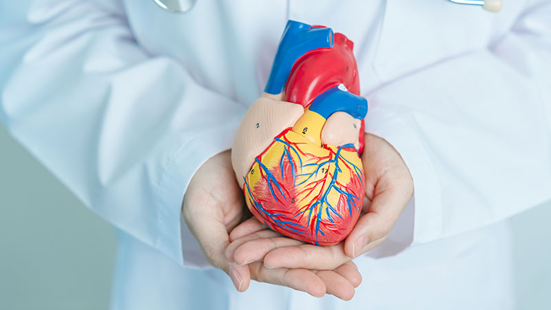 Promotes Heart Health