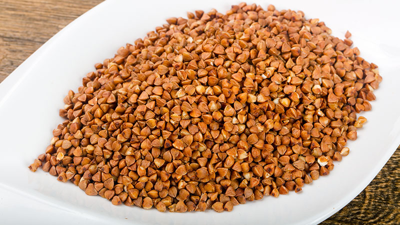 Rich Source of Nutrients