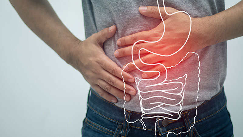 Support for Digestive Health