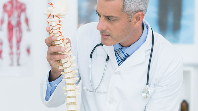 Supports Bone Health
