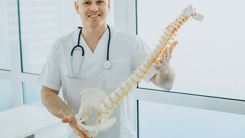 Supports Bone Health
