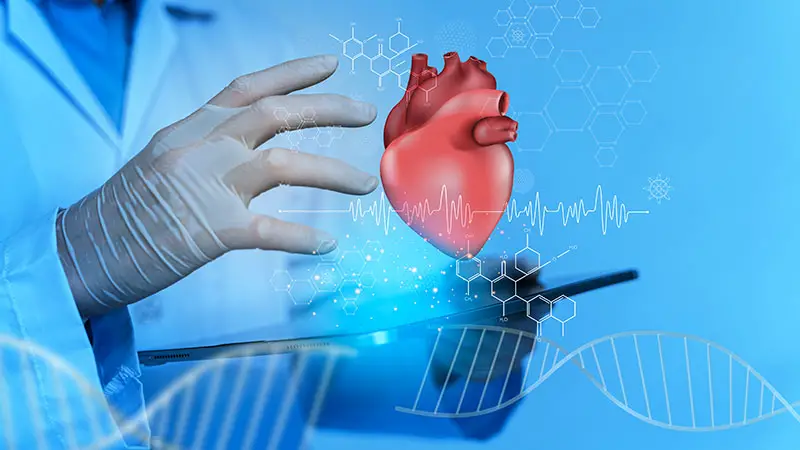 Supports Cardiovascular Health