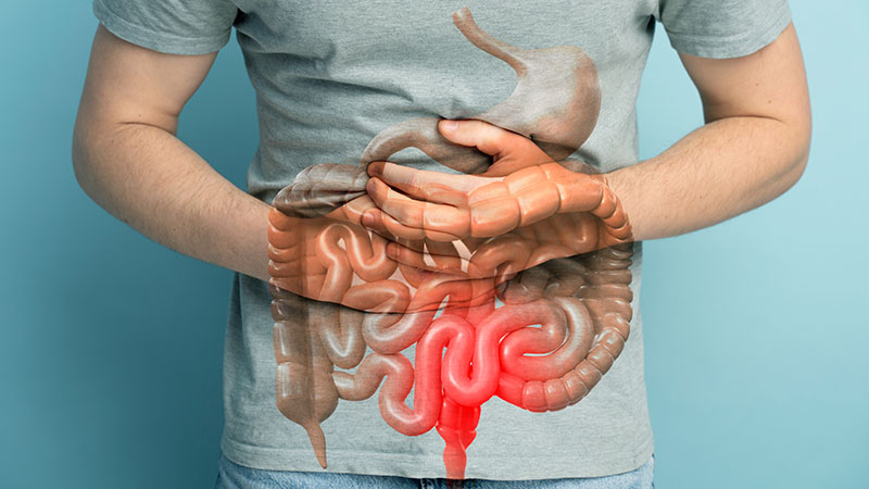 Supports Digestive Health