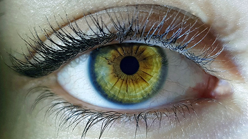 Supports Eye Health