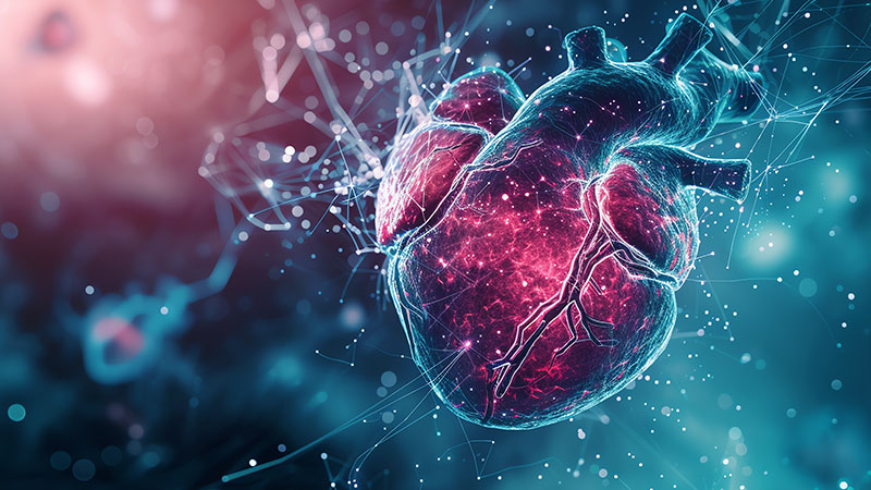Symptoms of Heart Disease